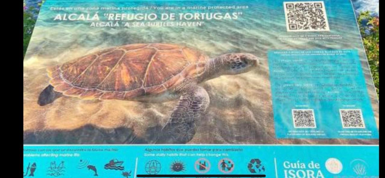 Alcala Center A 5 Minutos Del Paseo Y Playas Daire Dış mekan fotoğraf